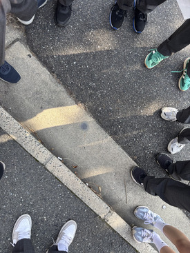 フィールドワークの様子